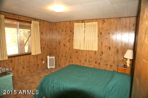 6599 W Ute Trl, Pine, AZ 85544 photo 8