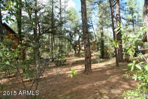 6599 W Ute Trl, Pine, AZ 85544 photo 13