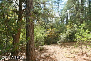 6599 W Ute Trl, Pine, AZ 85544 photo 14