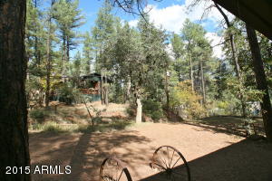 6599 W Ute Trl, Pine, AZ 85544 photo 15