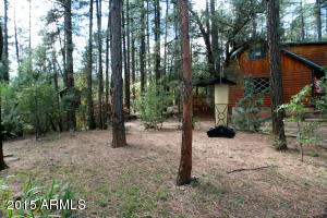 6599 W Ute Trl, Pine, AZ 85544 photo 12