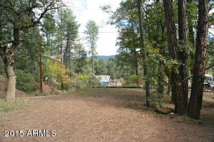 6599 W Ute Trl, Pine, AZ 85544 photo 3