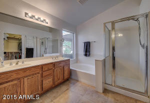 9454 E Irwin Ave, Mesa, AZ 85209 photo 17