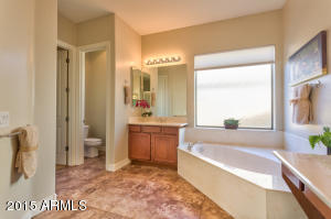 1279 E Flamingo Dr, Gilbert, AZ 85297 photo 24