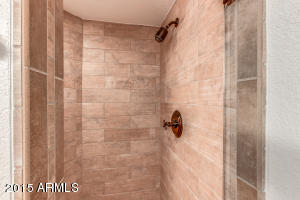 1424 E Marshall Ave, Phoenix, AZ 85014 photo 20