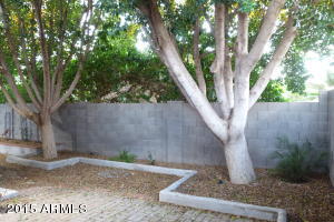 4725 E Brown Rd #7, Mesa, AZ 85205 photo 37
