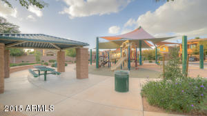 3836 E Frances Ln, Gilbert, AZ 85295 photo 25