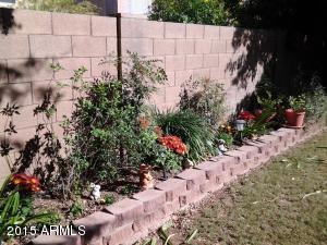 1148 E Orchid Ln, Gilbert, AZ 85296 photo 21