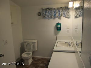 910 S Saranac Ave, Mesa, AZ 85208 photo 17