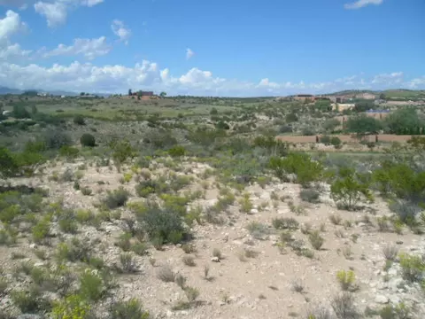 7395 E Mesa Dr, Cornville, AZ 86325 photo 5