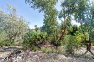 3147 E Rose Ln, Phoenix, AZ 85016 photo 31