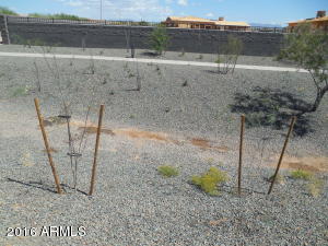 4404 E Hamblin Dr, Phoenix, AZ 85050 photo 32