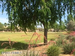 11412 E Peterson Ave, Mesa, AZ 85212 photo 3