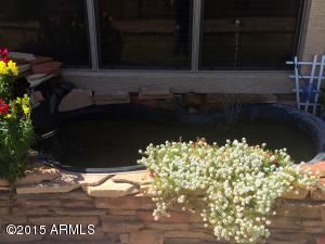 11412 E Peterson Ave, Mesa, AZ 85212 photo 53