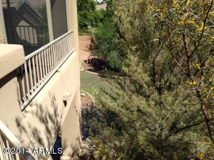 1157 E Melody Ct, Gilbert, AZ 85234 photo 49