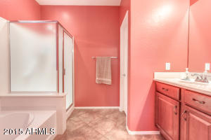 3397 E Merlot St, Gilbert, AZ 85298 photo 20