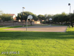 2304 E Peach Tree Dr, Chandler, AZ 85249 photo 23