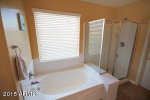 7005 S 37th Gln, Phoenix, AZ 85041 photo 12