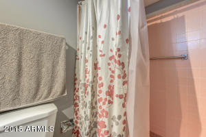 5523 E Butte St, Mesa, AZ 85205 photo 27