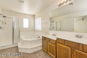 3972 E Fruitvale Ave, Gilbert, AZ 85297 photo 16
