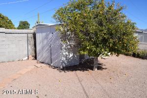 1381 S Lawther Dr, Apache Junction, AZ 85120 photo 15