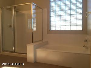 10419 E Irwin Cir, Mesa, AZ 85209 photo 18