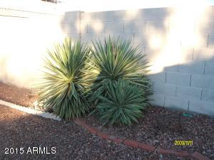 941 W 19th Ave, Apache Junction, AZ 85120 photo 19