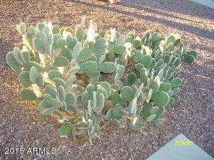 941 W 19th Ave, Apache Junction, AZ 85120 photo 32
