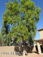 3843 E Cloudburst Dr, Gilbert, AZ 85297 photo 7