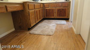2501 E Villa Maria Dr, Phoenix, AZ 85032 photo 14