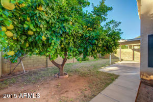 109 W Gary Way, Gilbert, AZ 85233 photo 32