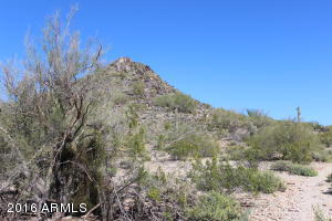 3431 E Las Rocas Dr, Phoenix, AZ 85028 photo 30