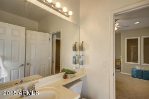2838 E Cotton Ct, Gilbert, AZ 85234 photo 41
