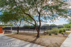 3957 E Cat Balue Dr, Phoenix, AZ 85050 photo 21
