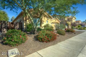 2434 E Ficus Way, Gilbert, AZ 85298 photo 39