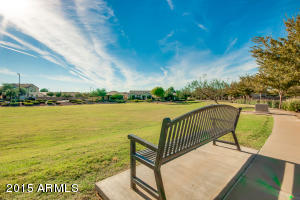 3537 E Bart St, Gilbert, AZ 85295 photo 50