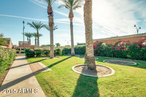 3537 E Bart St, Gilbert, AZ 85295 photo 54