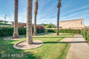 3537 E Bart St, Gilbert, AZ 85295 photo 53