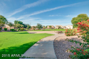 3537 E Bart St, Gilbert, AZ 85295 photo 45