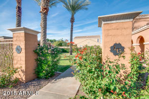 3537 E Bart St, Gilbert, AZ 85295 photo 52