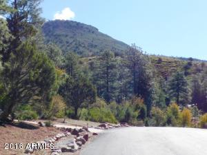 5583 Solitude Trail Loop, Pine, AZ 85544 photo 27