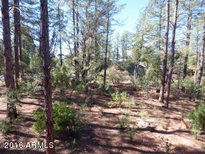 5583 Solitude Trail Loop, Pine, AZ 85544 photo 24