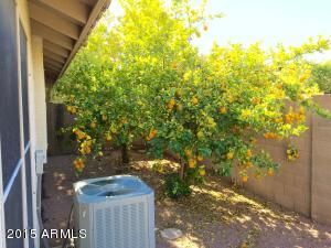 1202 E Sandcastle Ct, Gilbert, AZ 85234 photo 7