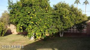 2546 E Devonshire Ave, Phoenix, AZ 85016 photo 16