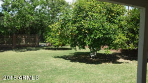 2546 E Devonshire Ave, Phoenix, AZ 85016 photo 14