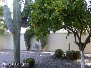 7845 E Ocotillo Ave, Mesa, AZ 85208 photo 40