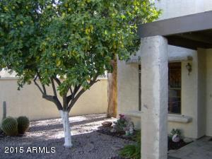 7845 E Ocotillo Ave, Mesa, AZ 85208 photo 39