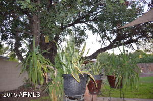 7613 N 17th Ave, Phoenix, AZ 85021 photo 48