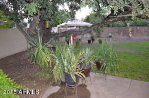 7613 N 17th Ave, Phoenix, AZ 85021 photo 47