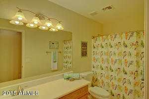 3376 E Chickadee Rd, Gilbert, AZ 85297 photo 11